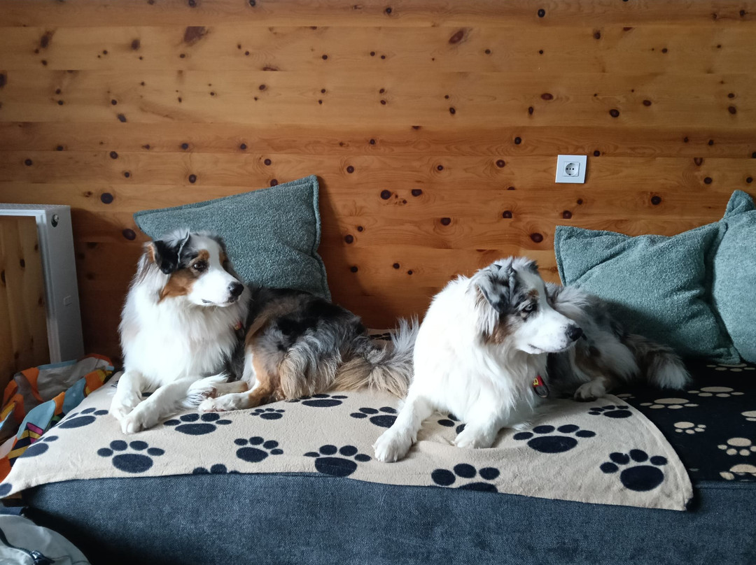 Hotel Kreuzberg Monte Croce主图