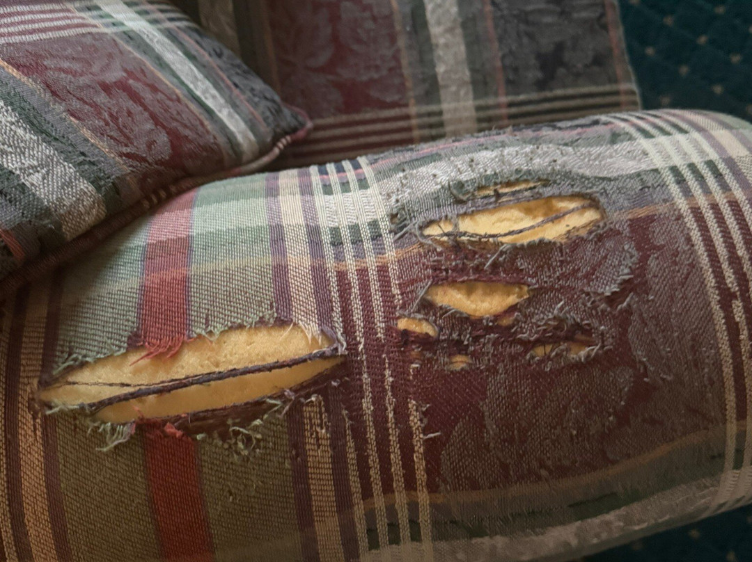 公园广场山林小屋主图