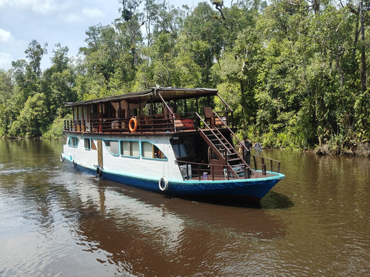 Borneo Eco Tour-Pangkalan Bun必去景点
