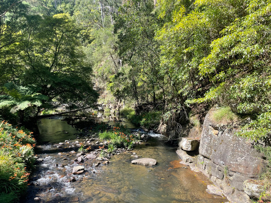 Strzelecki Trail Route 94-Tarra Valley必去景点