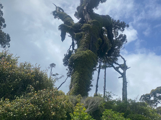 Ship Creek Walks-Haast必去景点