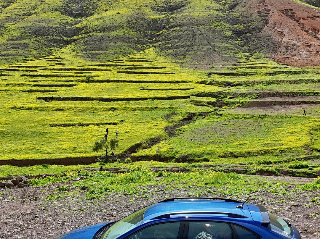 Ecocar Fuerteventura-Castillo Caleta de Fuste必去景点