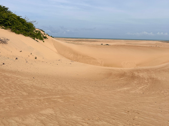 Ricardo Tuor-Piacabucu必去景点