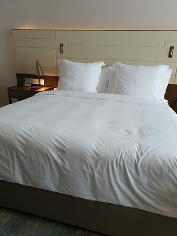 新加坡四季酒店主图