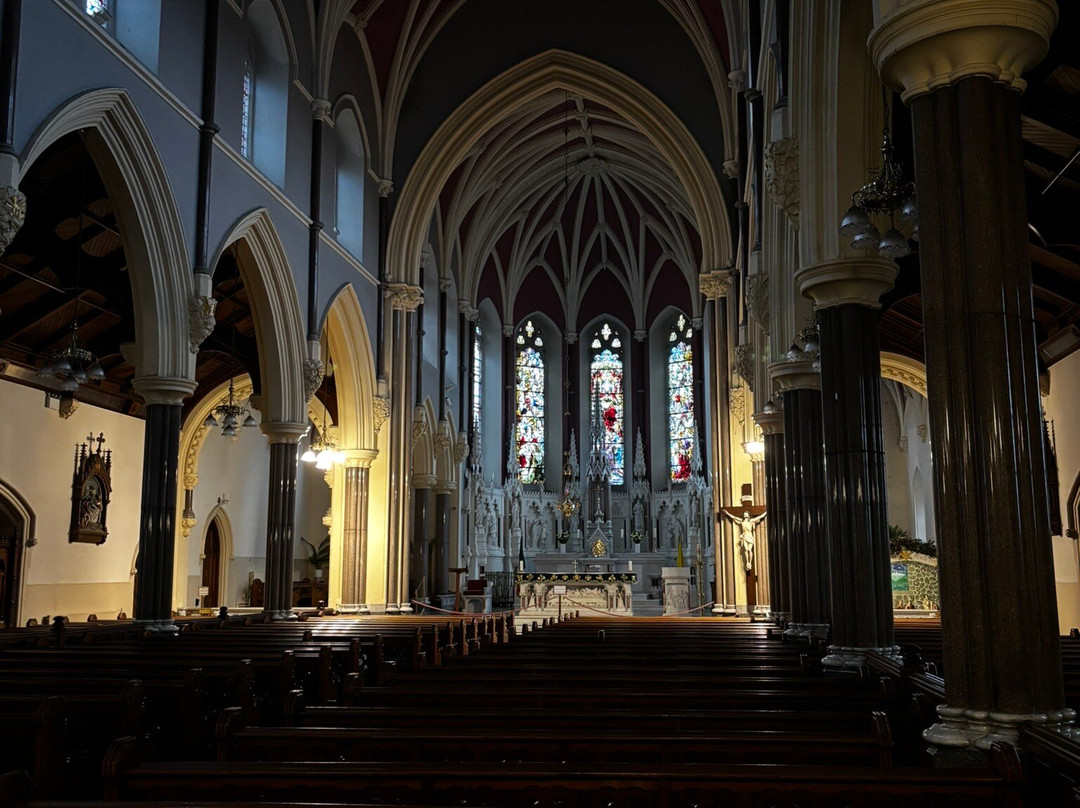 St. John the Evangelist Church-基尔肯尼必去景点