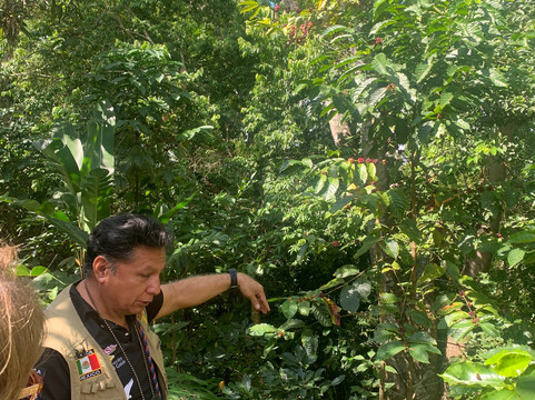 mani gonzalez adventures-La Crucecita必去景点