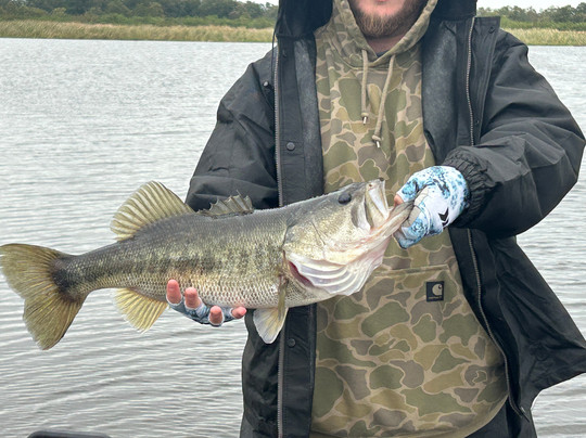 Okeechobee Bass Guide Service-奥基乔比必去景点