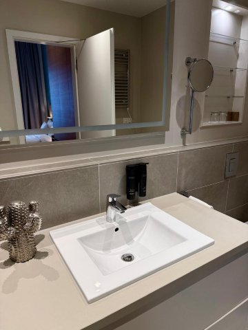 杜塞尔多夫威勒姆,凯悦成员-浴室