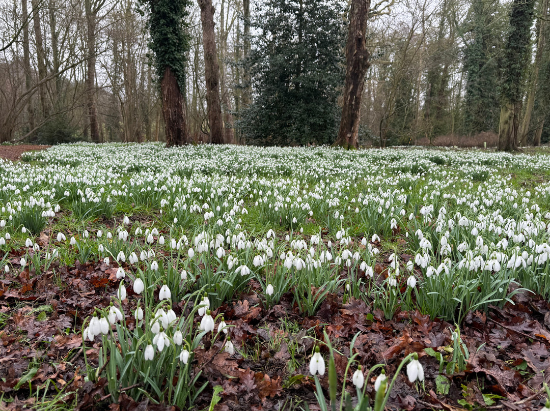 Markshall Estate-科尔切斯特必去景点