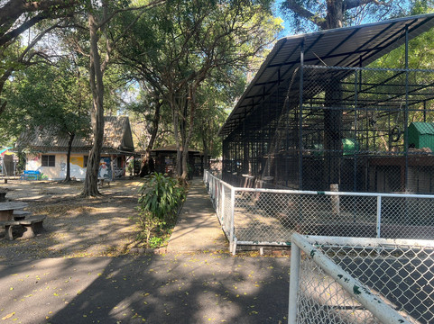 Lopburi Zoo-华富里必去景点