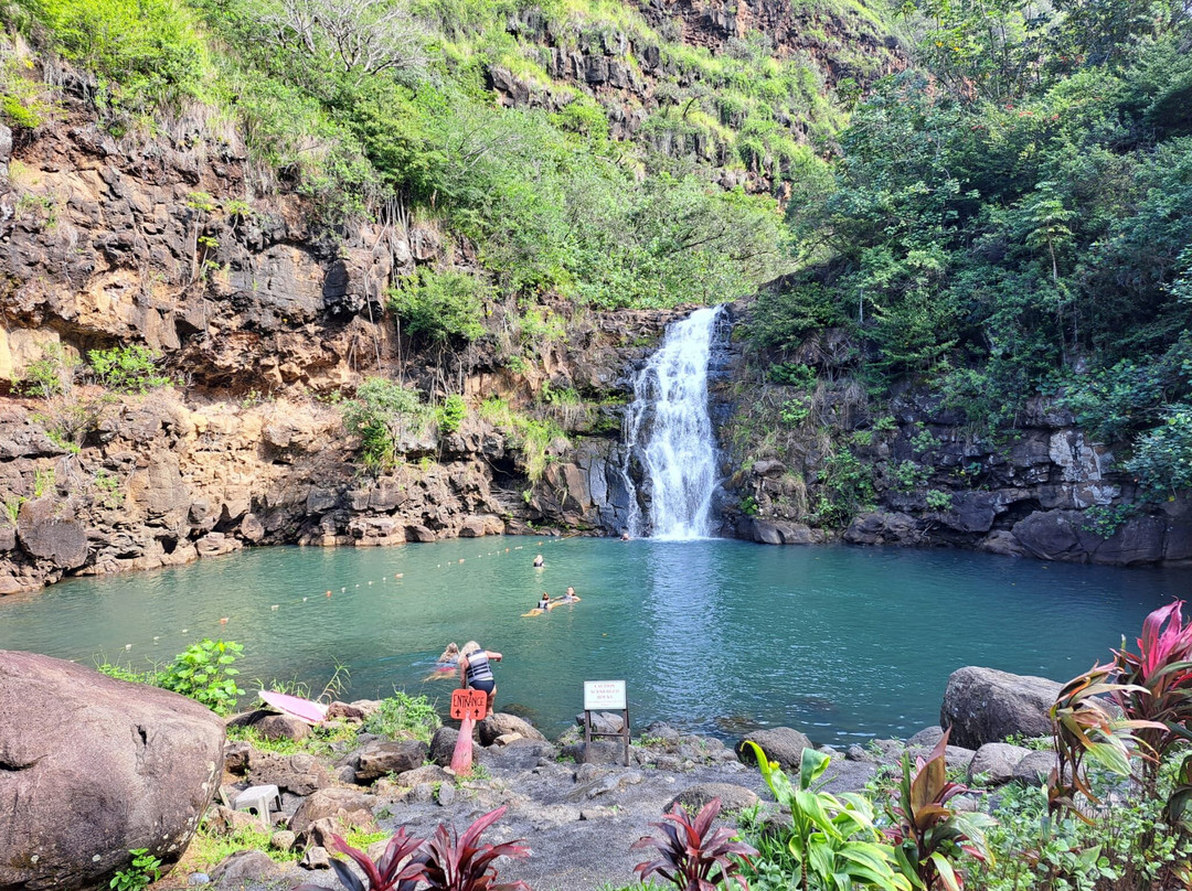 Waimea Falls-Pupukea必去景点