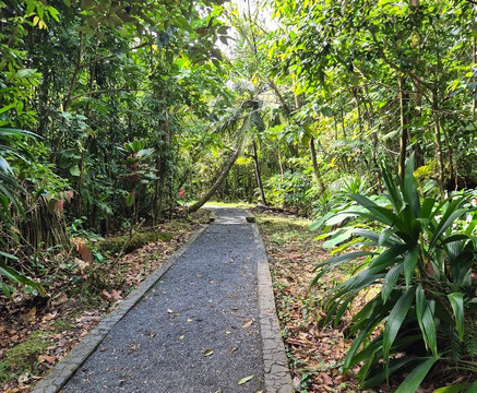 Spanny Falls-多米尼克必去景点