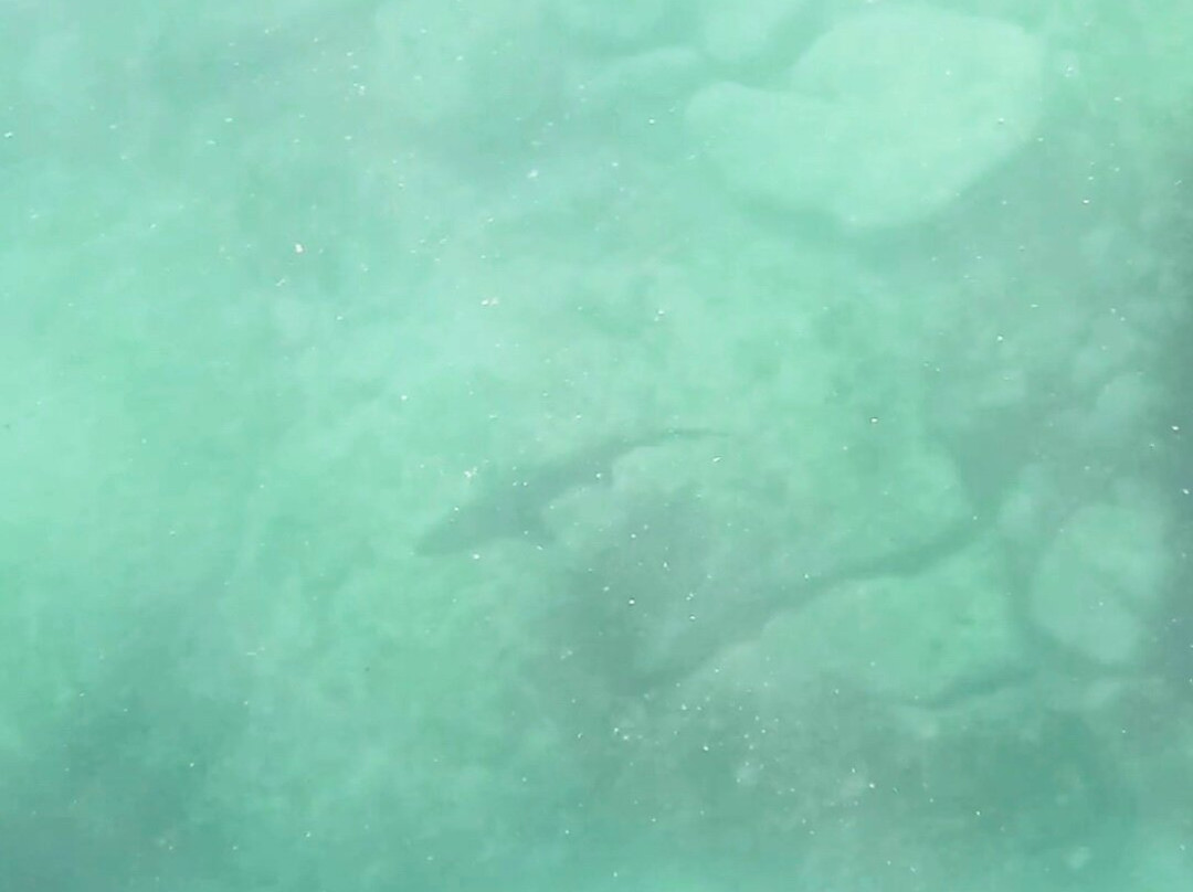 Woebegone Freedive-赫斯基森必去景点