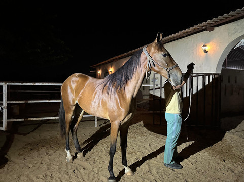 玛雅加尔酒店主图