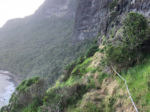 Lord Howe Environmental Tours-豪勋爵群岛必去景点