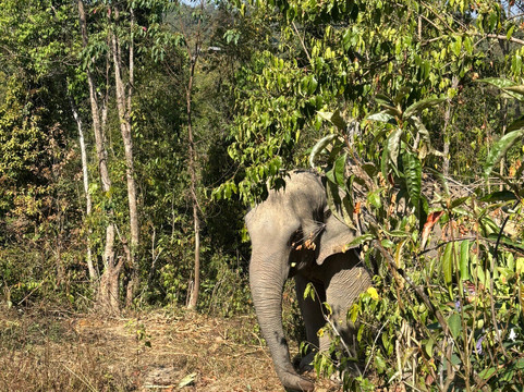 Chang Chill-Mae Win必去景点