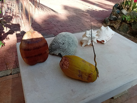 Woodstock Palmresort主图