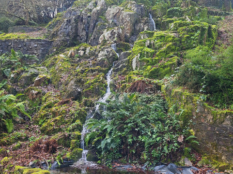 Mount Congreve Gardens-County Waterford必去景点