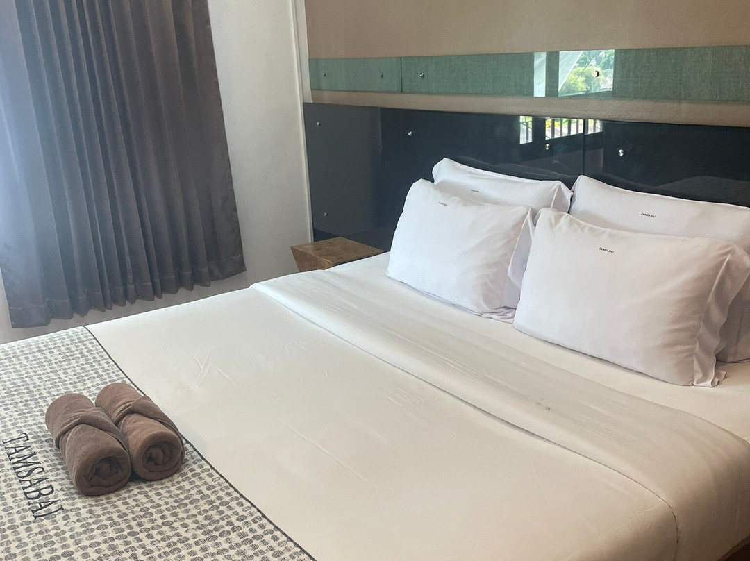 坦萨拜酒店主图