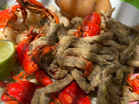 Lago San Jacinto-塔里哈必去景点