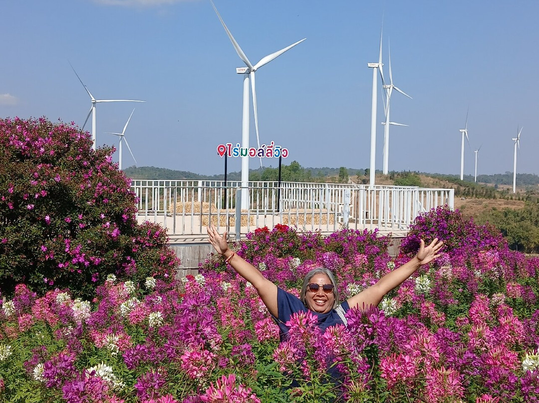 Khao Kho Wind Farm-考柯县必去景点
