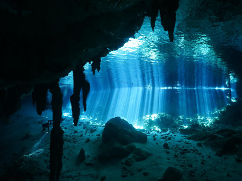 Pasku Dive-普拉亚德尔卡曼必去景点