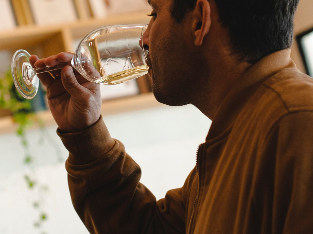 Drimia Winery-Judaean Hills必去景点