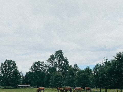 Alma Equina Pucon-普孔必去景点