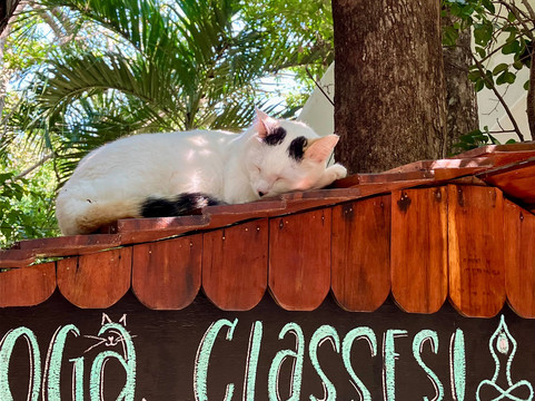 荷里斯提卡酒店主图