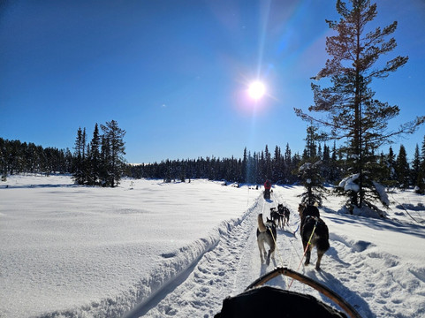 Hemsedal Huskies-Hemsedal必去景点