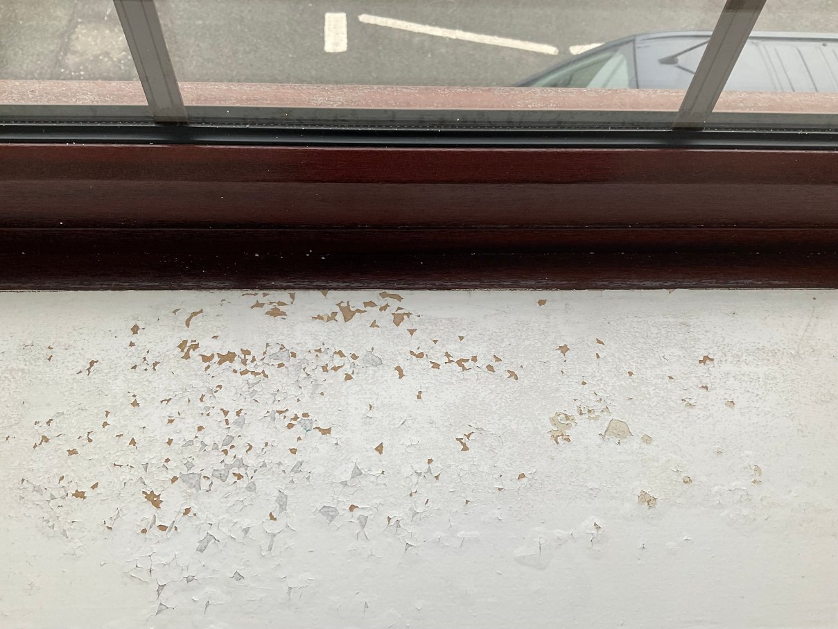 舒兰德酒店-客卧