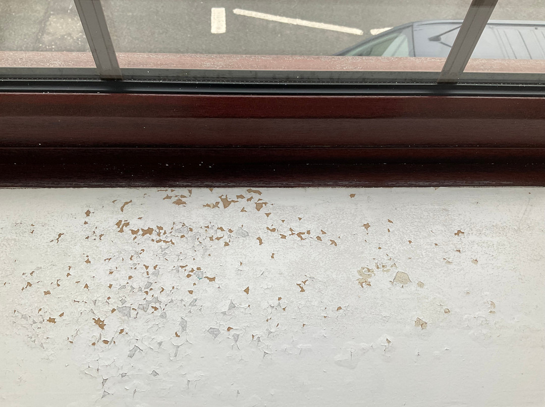 舒兰德酒店主图