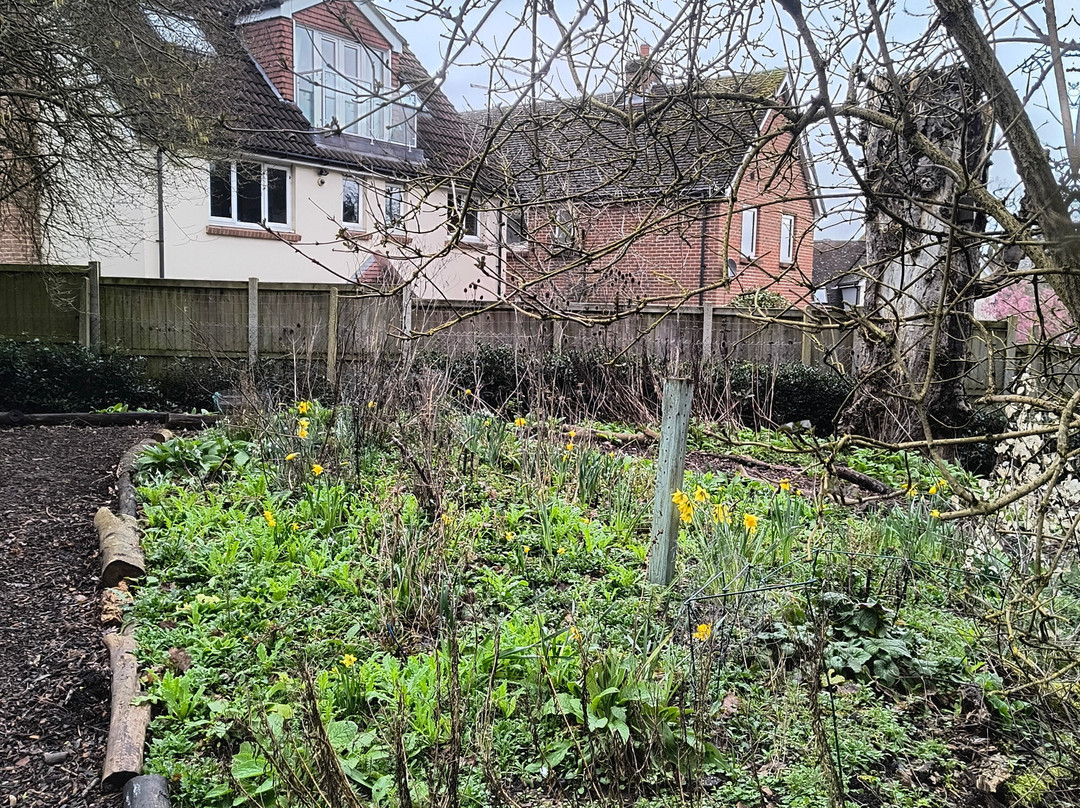 Braintree & Bocking Public Gardens-布伦特里必去景点