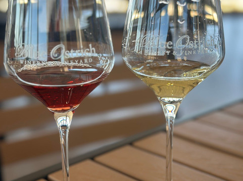 Blue Ostrich Winery & Vineyard-Saint Jo必去景点