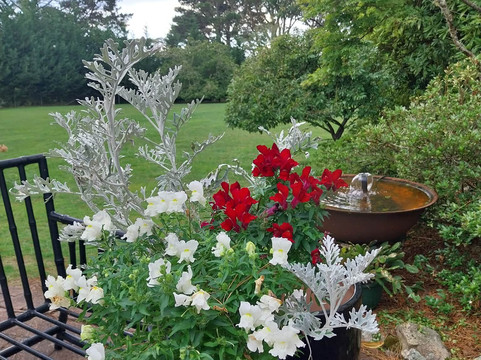 Closeburn House主图