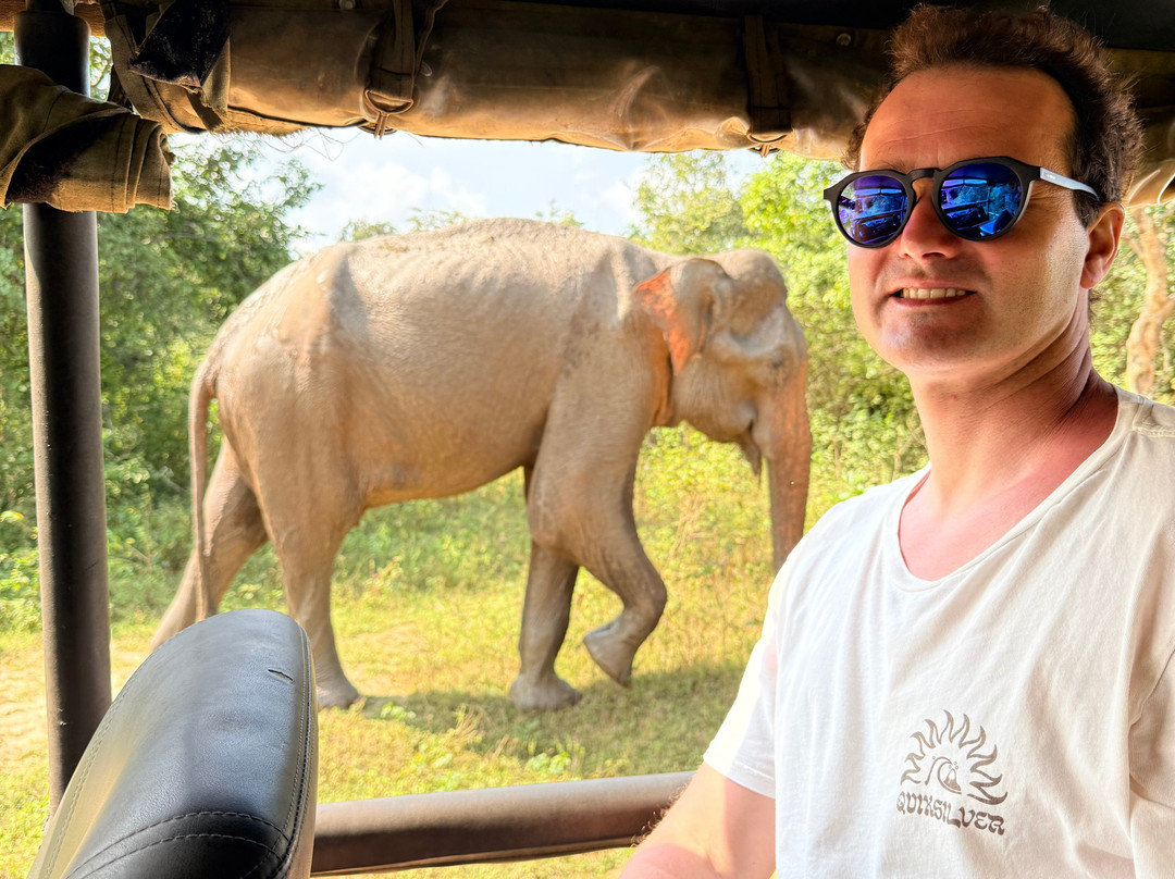 Udawalawe Safari Tours-乌达瓦拉维国家公园必去景点