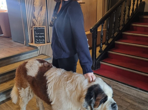 查特拉酒店主图