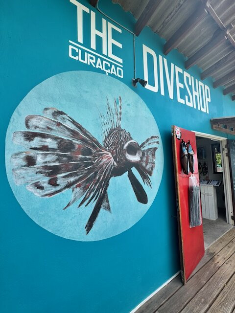The Diveshop Curacao-威廉斯塔德必去景点
