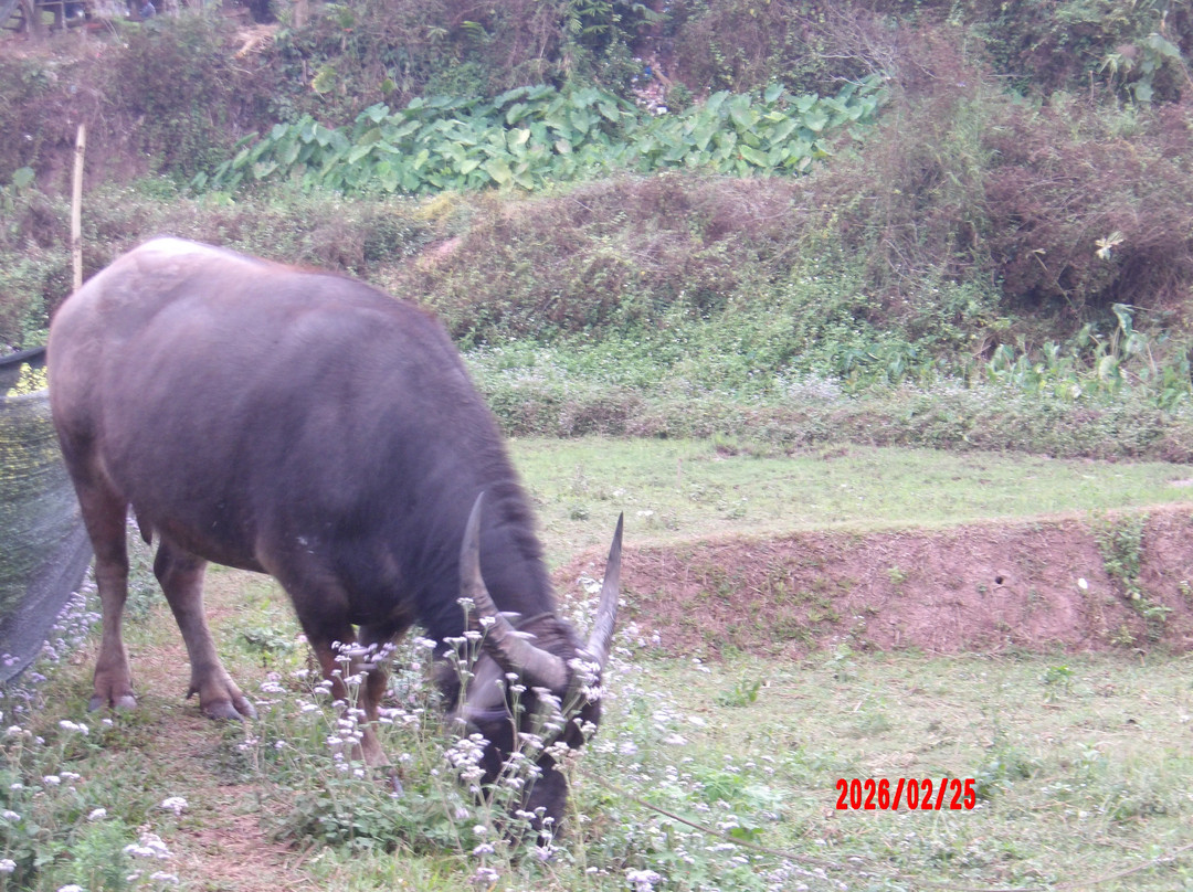 Phou Iu Travel & Ecotourism-琅南塔必去景点