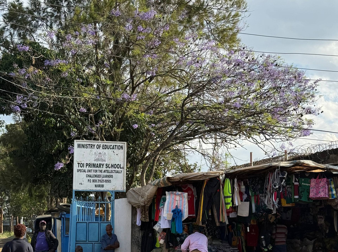 Visit Kibera Expeditions-内罗毕必去景点