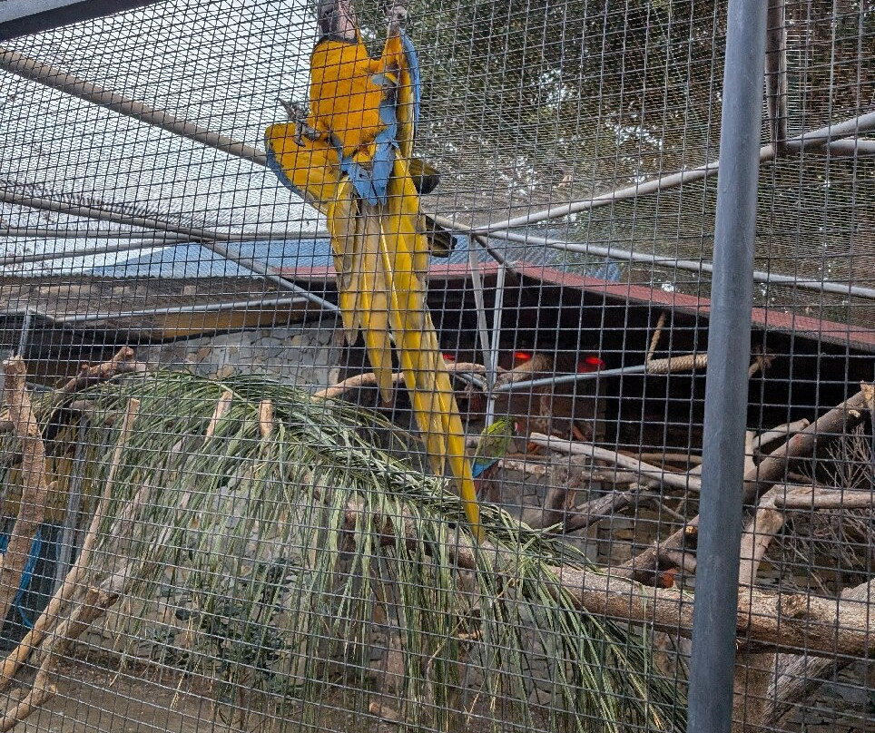 Selwo Marina-班纳玛德纳必去景点