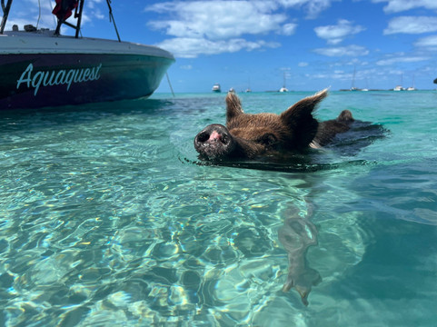 Aquaquest Escapes-George Town必去景点