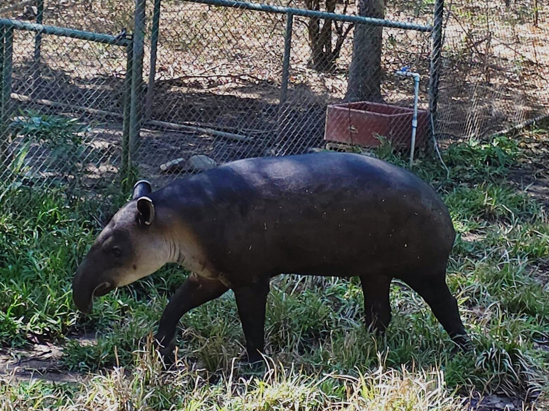 Natuwa Wildlife Santuary-彭塔雷纳斯必去景点