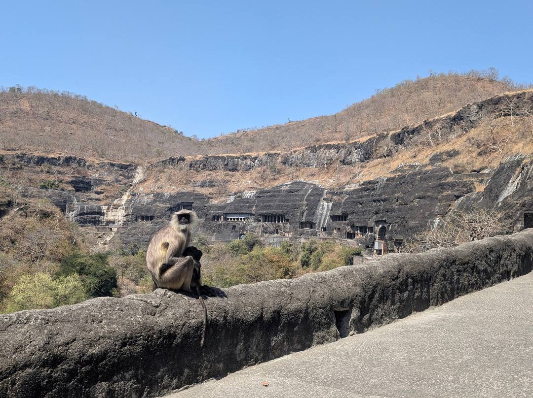 Md Hussain's Ajanta and Ellora Caves Driving Service-奥兰卡巴必去景点