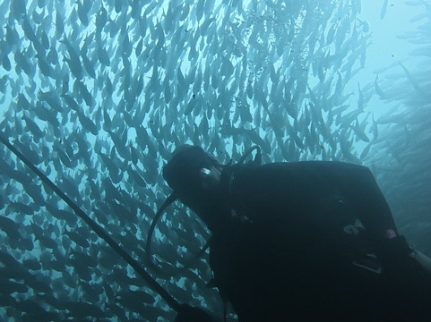 Galapagos Blue Evolution-Puerto Baquerizo Moreno必去景点