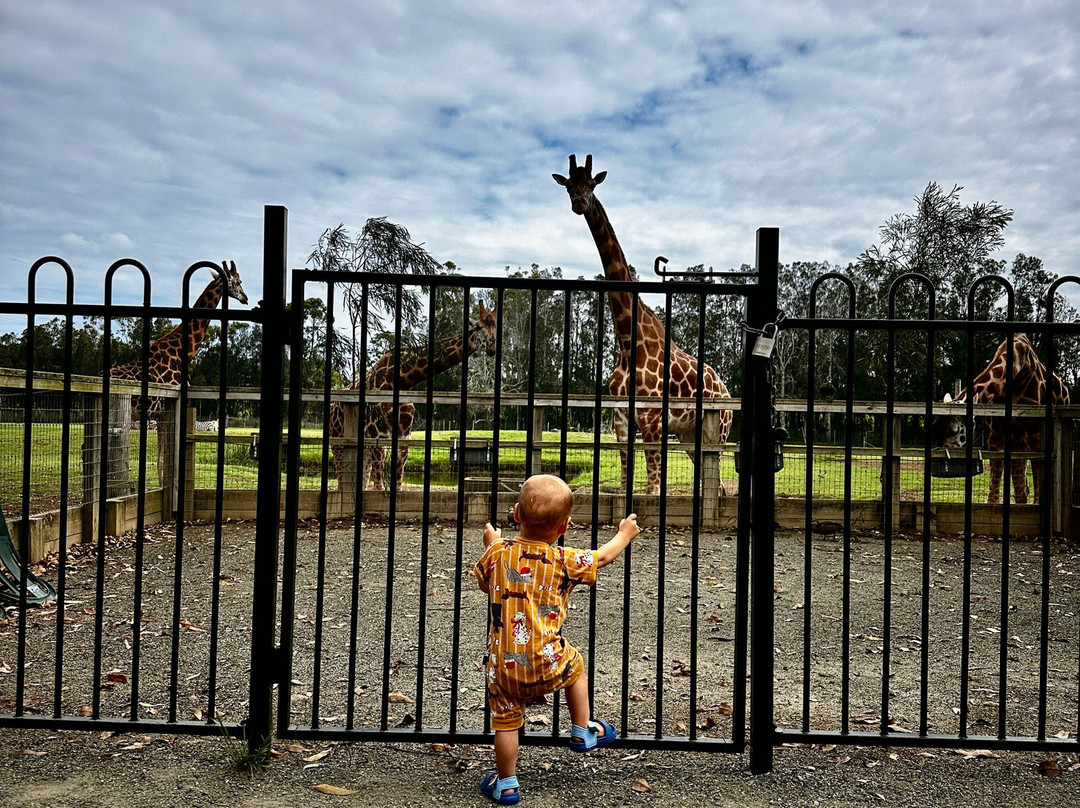 Mogo Wildlife Park-Mogo必去景点