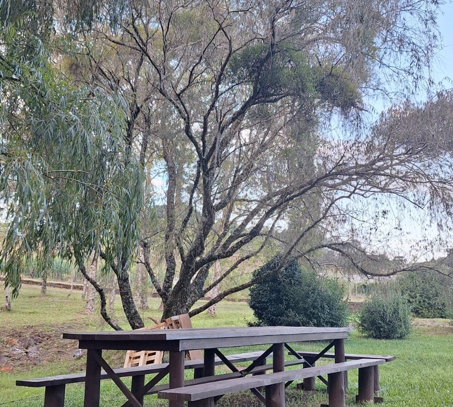 Villa Francioni-Sao Joaquim必去景点