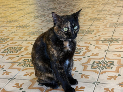 Hin Bus Depot-乔治城必去景点