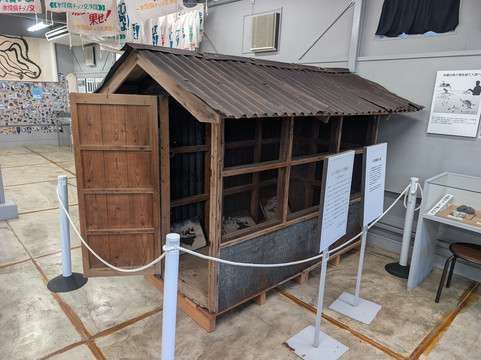 Minamata Disease History Documented Museum-水俣市必去景点