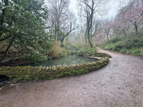 Ninesprings Country Park-约维尔必去景点
